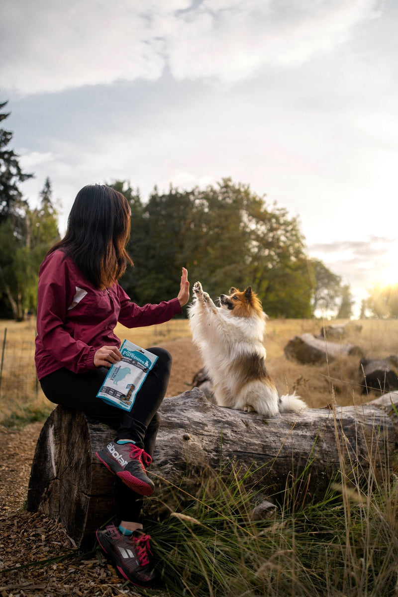 How PureBites Made Paid-ad Promo Codes Work without Giving them to Everyone